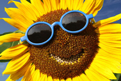 Happy Face